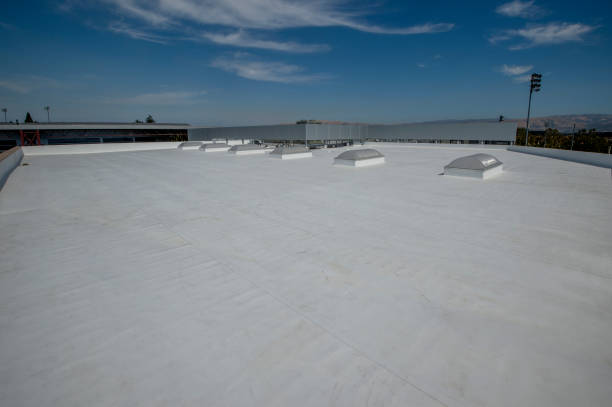 Best Roof Coating and Sealing  in Iva, SC