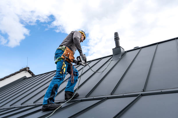 Best Roof Moss and Algae Removal  in Iva, SC