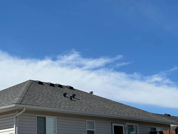 Best Roof Maintenance and Cleaning  in Iva, SC